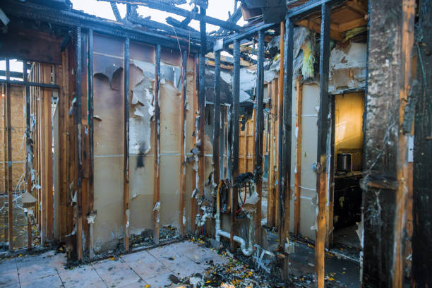 Professional Fire Damage Removal technician working in Wynne, AR